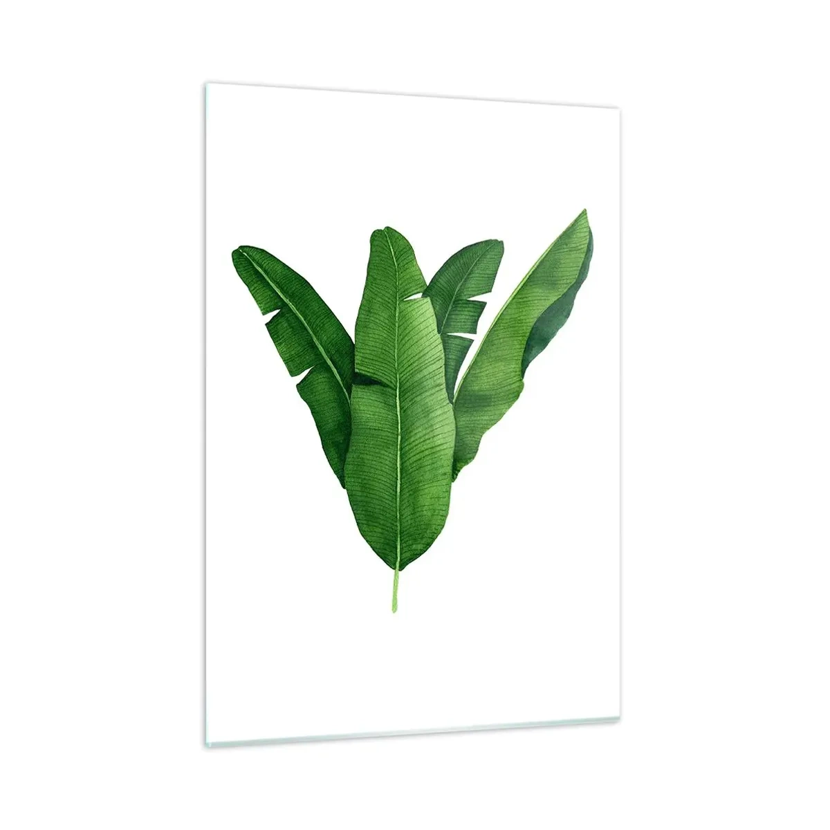 Quadro su vetro - Quattro foglie di banano verde su sfondo bianco - 50x70cm - Simmetria verde - Decorazione murale moderna per soggiorno e camera da letto ARTTOR