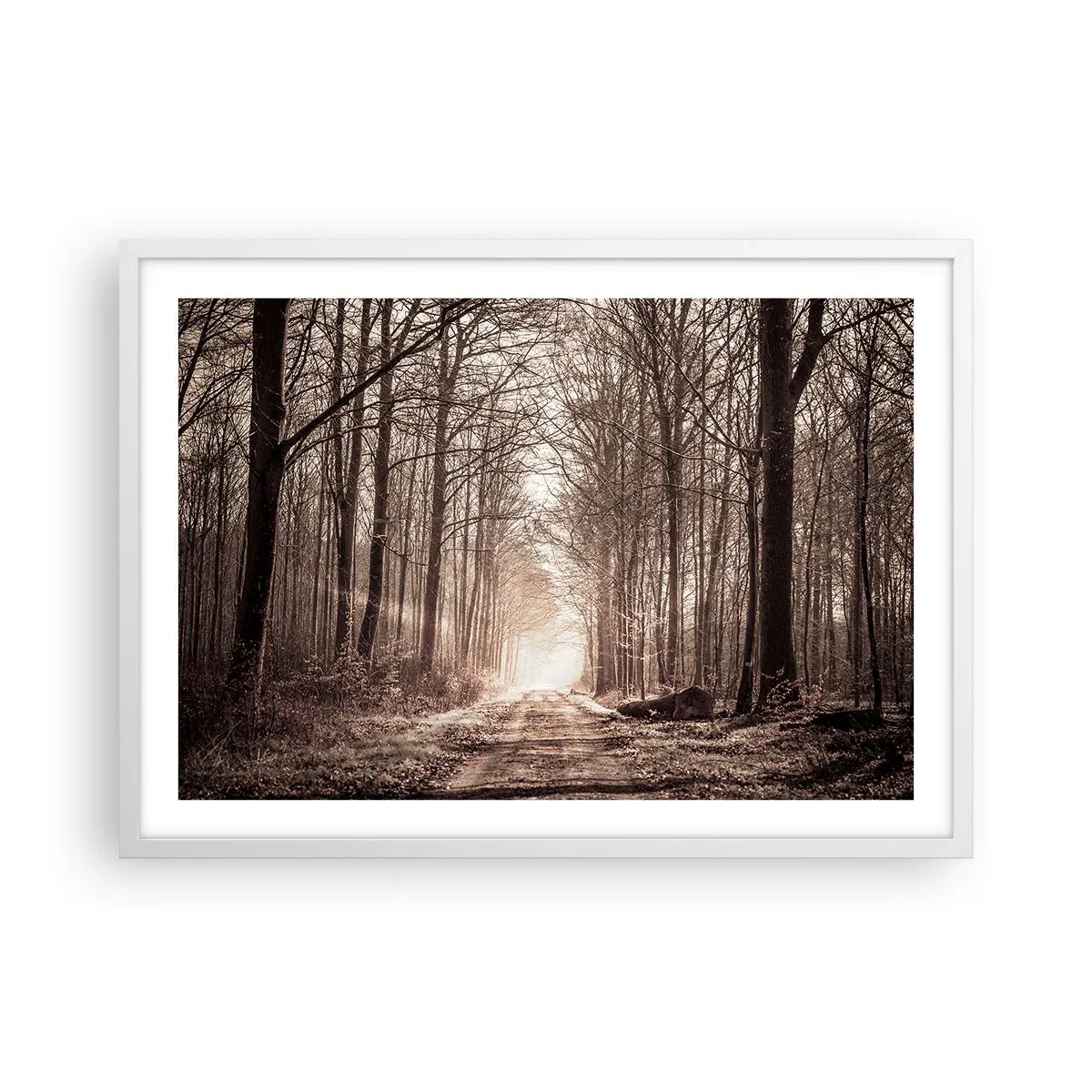 Poster in cornice bianca - La cattedrale del bosco - 70x50 cm