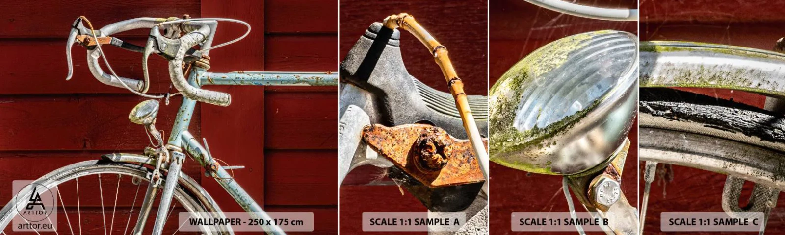 Campione Di Fotomurale Standard Eco - Creata per la vittoria - Bicicletta, retrò, Ciclismo - 100x30 cm