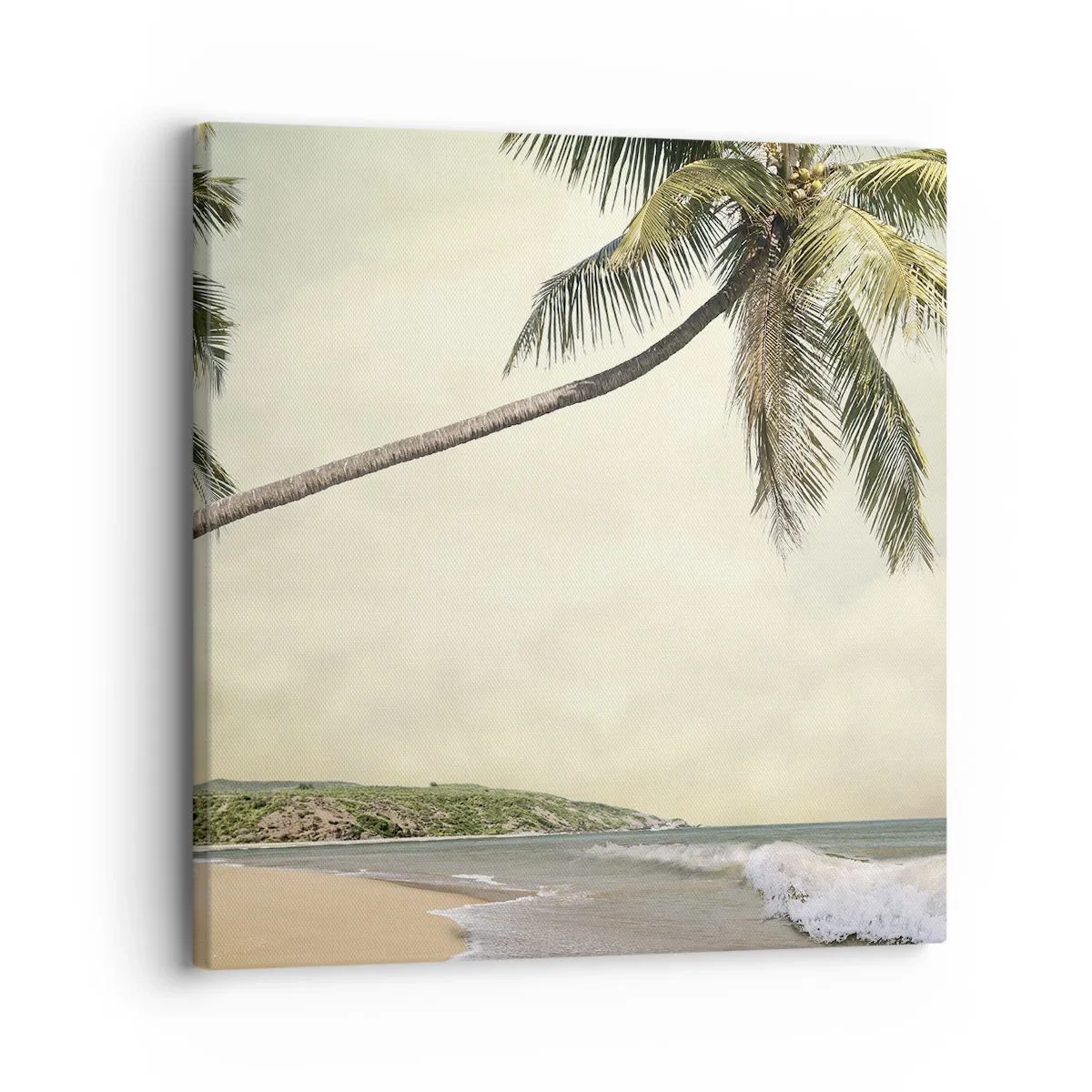 Quadro su tela - Stampe su Tela - Sogno tropicale - 30x30 cm