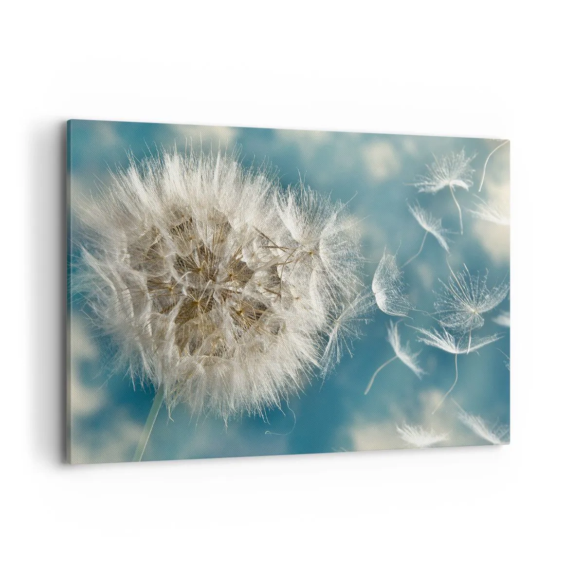 Quadro su tela - Stampe su Tela - Un dente di leone soffiato contro un cielo blu - 100x70cm - Il respiro dell'angelo - Decorazione murale moderna per soggiorno e camera da letto ARTTOR