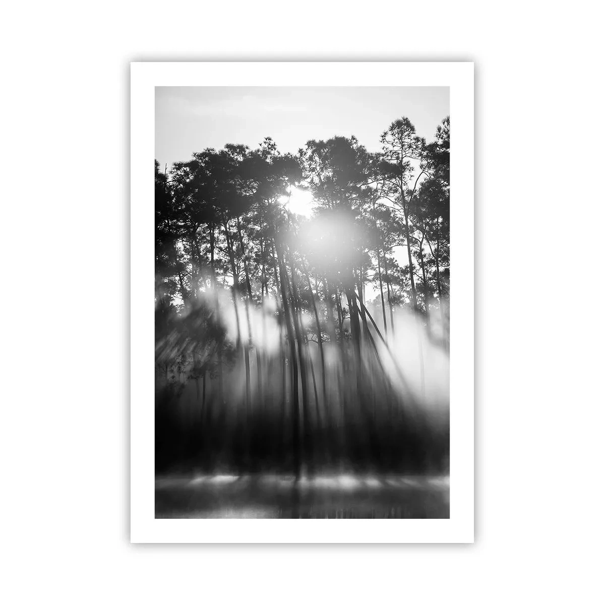 Poster - Scena di foresta in bianco e nero con raggi di sole nella nebbia - 50x70cm - Sole irrefrenabile - Decorazione murale moderna per soggiorno e camera da letto ARTTOR