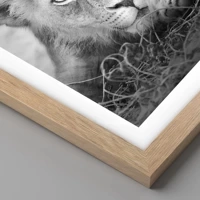 Rovere chiaro