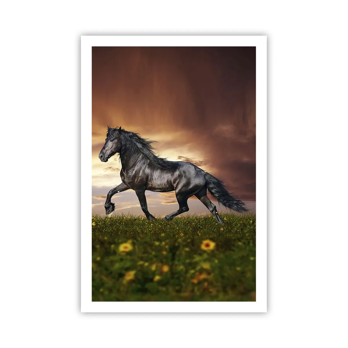 Poster - Il principe nero - 61x91 cm
