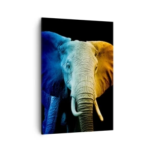 Quadro su tela - Stampe su Tela - Ritratto di elefante nei colori dell'arcobaleno - 70x100cm - Eccentrico, non strano - Decorazione murale moderna per soggiorno e camera da letto ARTTOR