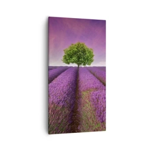 Quadro su tela - Stampe su Tela - Sui campi di lavanda - 55x100 cm