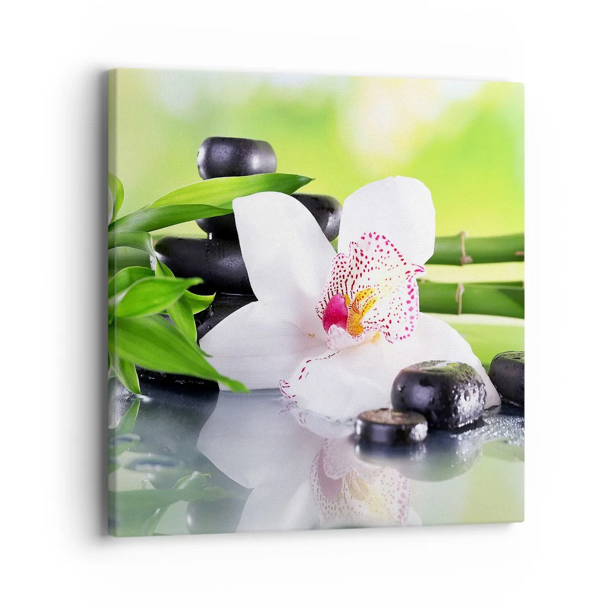 Quadro su tela - Stampe su Tela - Freschezza rinfrescante - 40x40 cm