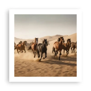 Poster - Liberi come il vento - 50x50 cm