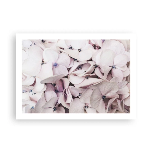 Poster - Un'alluvione di fiori - 70x50 cm