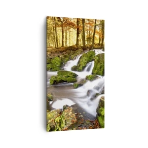 Quadro su tela - Stampe su Tela - Rapido nel bosco autunnale - 45x80 cm