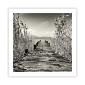 Poster - Nel silenzio dell'erba - 50x50 cm