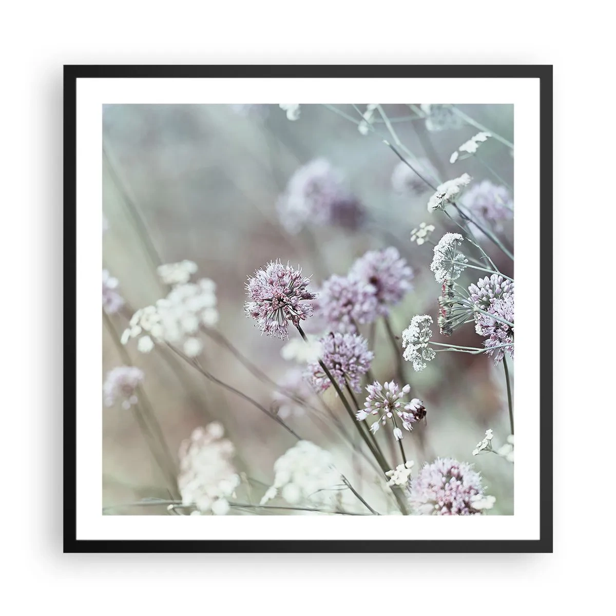 Poster in cornice nera - Le dolci filigrane delle erbe - 60x60 cm