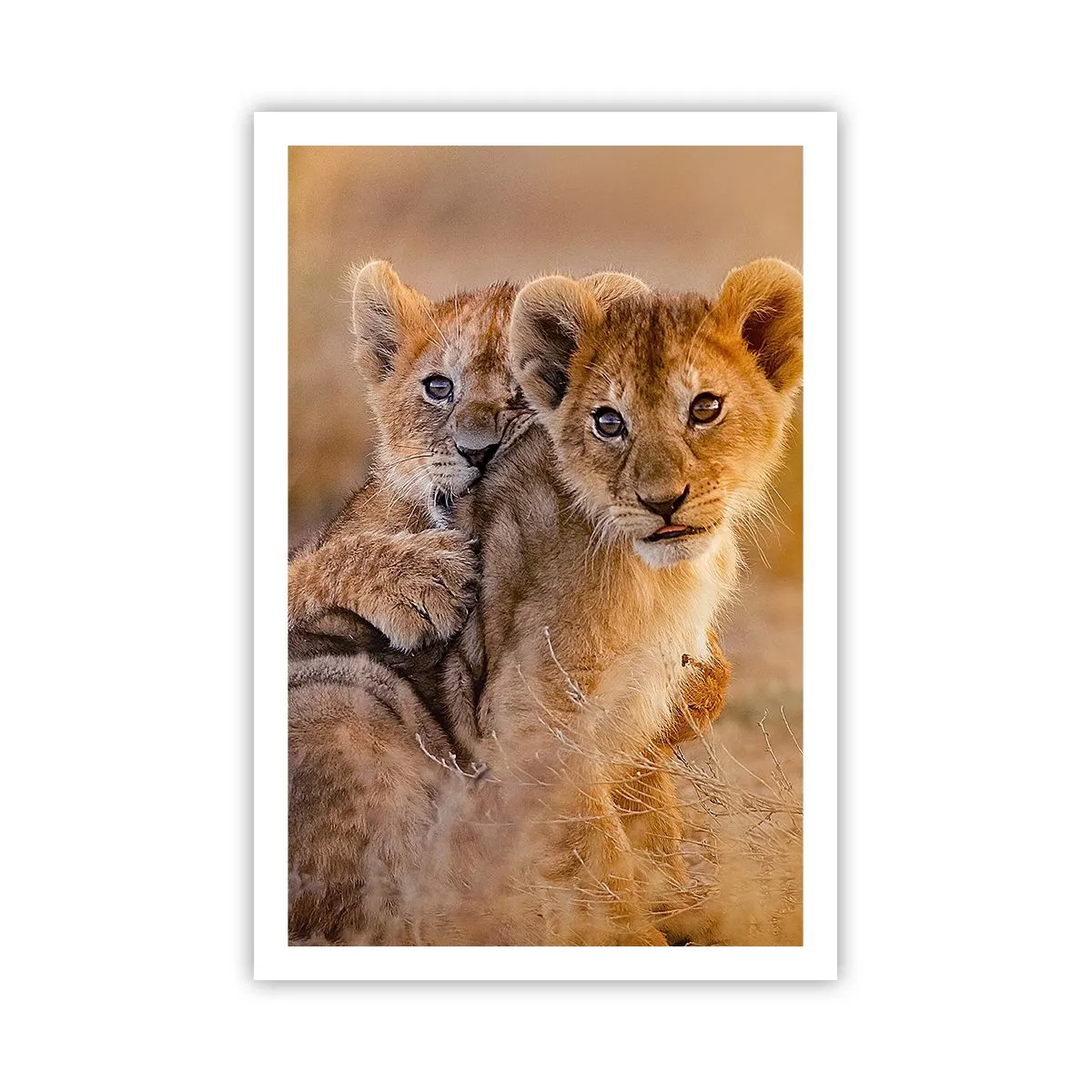 Poster - Non disturbare! Giochiamo - 61x91 cm