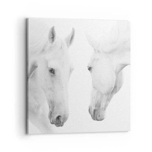 Quadro su tela - Stampe su Tela - È amicizia? - 70x70 cm