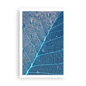 Poster - Vita nel blu - 61x91 cm