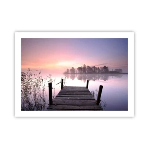Poster - Nebbia color lilla - 70x50 cm