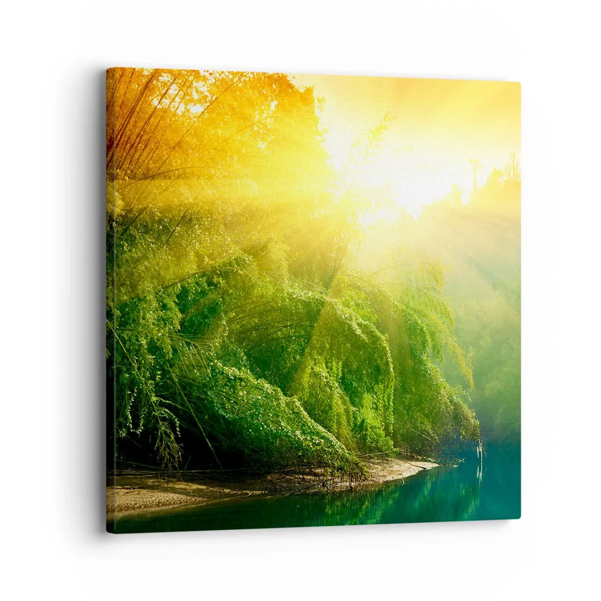 Quadro su tela - Stampe su Tela - Immergersi nel sole e nell'ombra - 30x30 cm