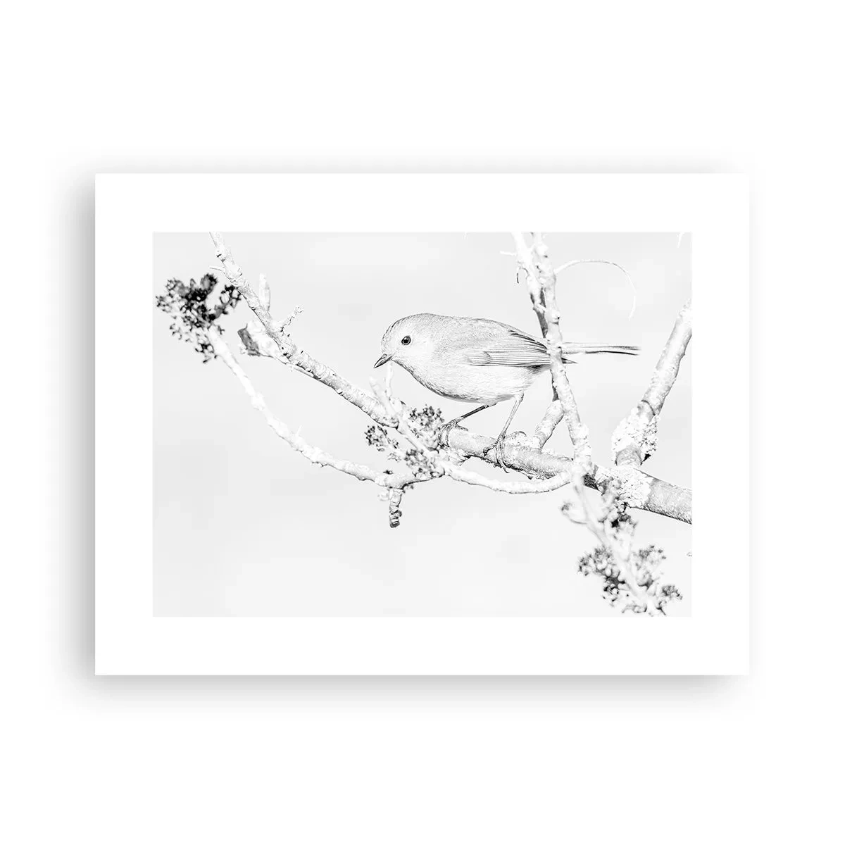 Poster - Mattino invernale - 40x30 cm