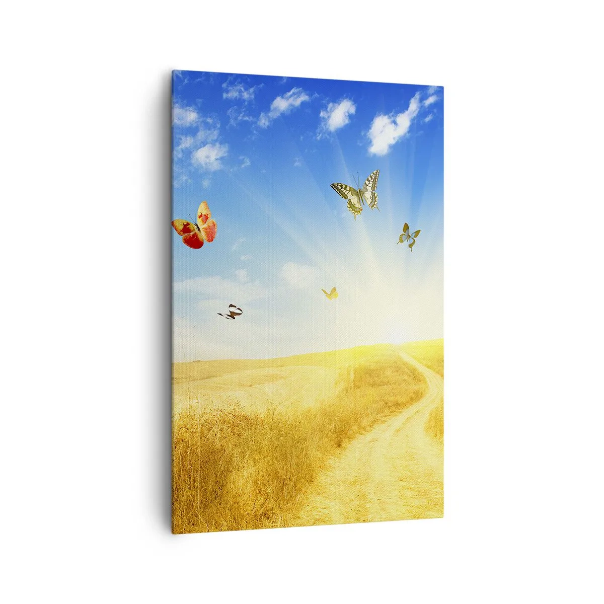 Quadro su tela - Stampe su Tela - Un campo dorato, un sentiero e farfalle contro un cielo azzurro - 80x120cm - Come non amare l'estate? - Decorazione murale moderna per soggiorno e camera da letto ARTTOR