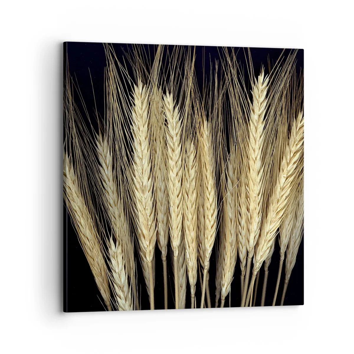 Quadro su tela - Stampe su Tela - Magia rustica - 70x70 cm