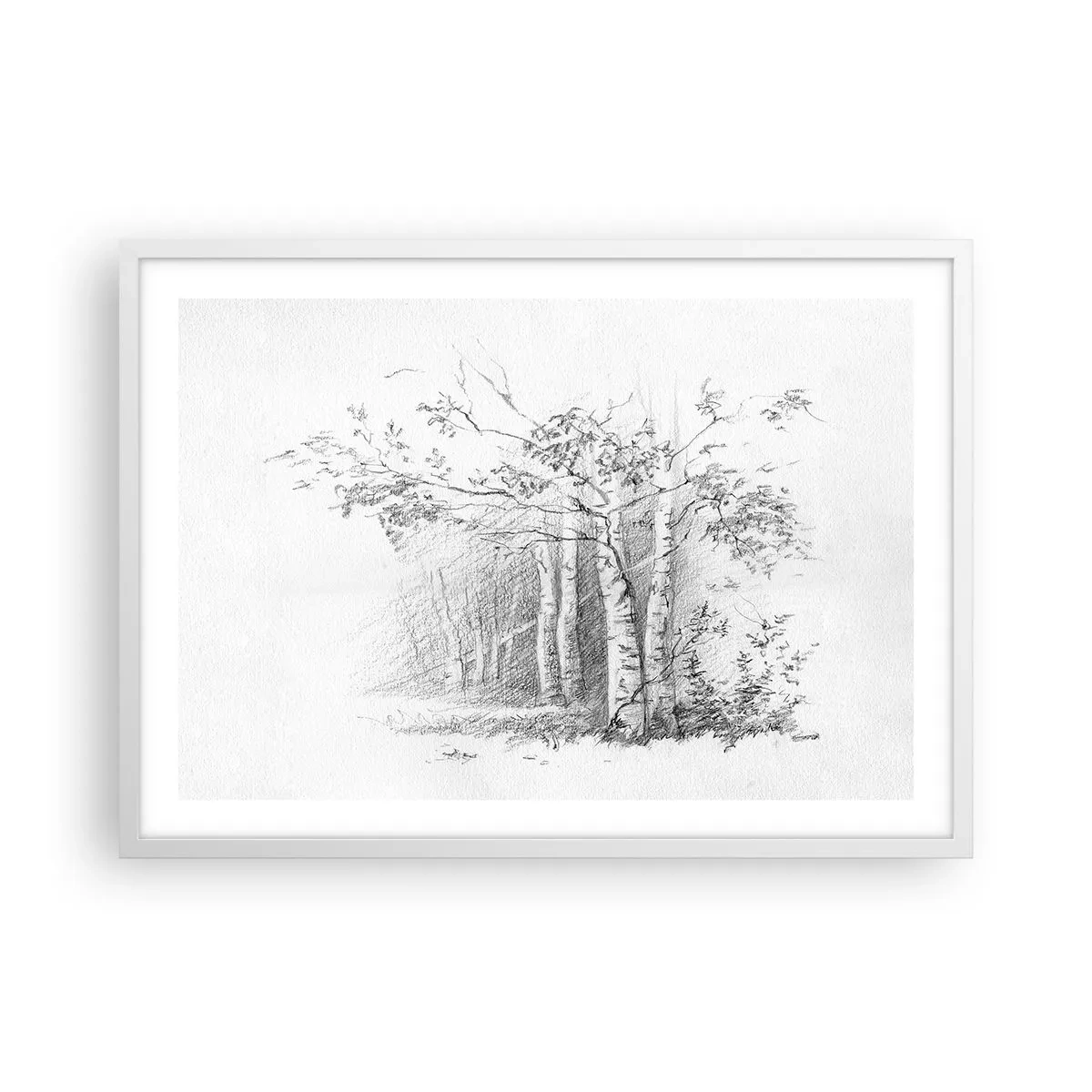 Poster in cornice bianca - La luce della foresta di betulle - 70x50 cm