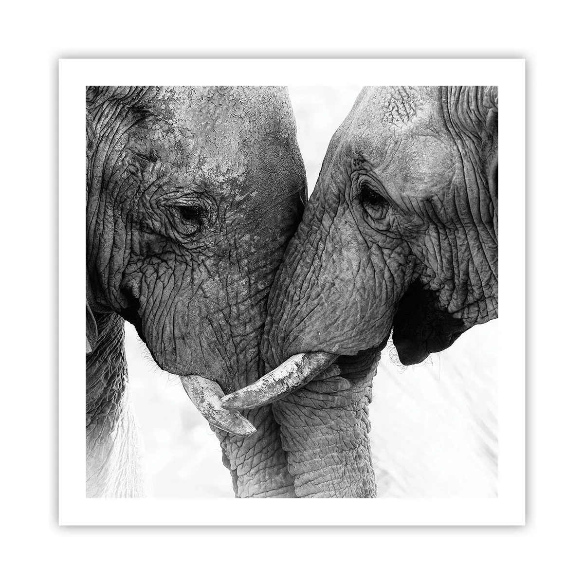 Poster - Dichiarazione sincera - 60x60 cm