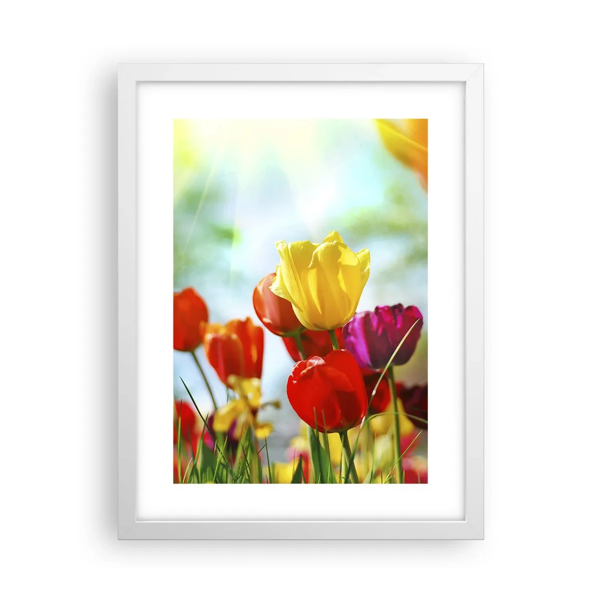 Poster in cornice bianca - Tutti i colori del sole - 30x40 cm