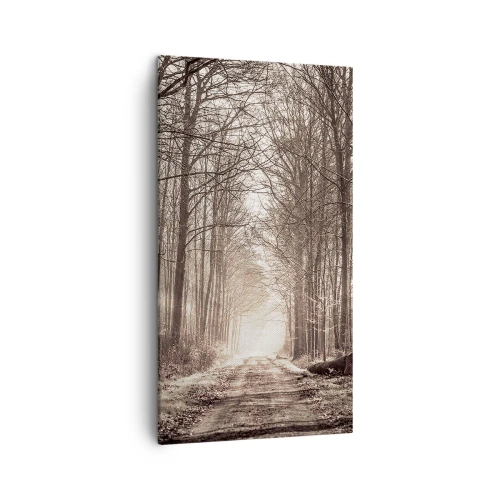 Quadro su tela - Stampe su Tela - La cattedrale del bosco - 45x80 cm