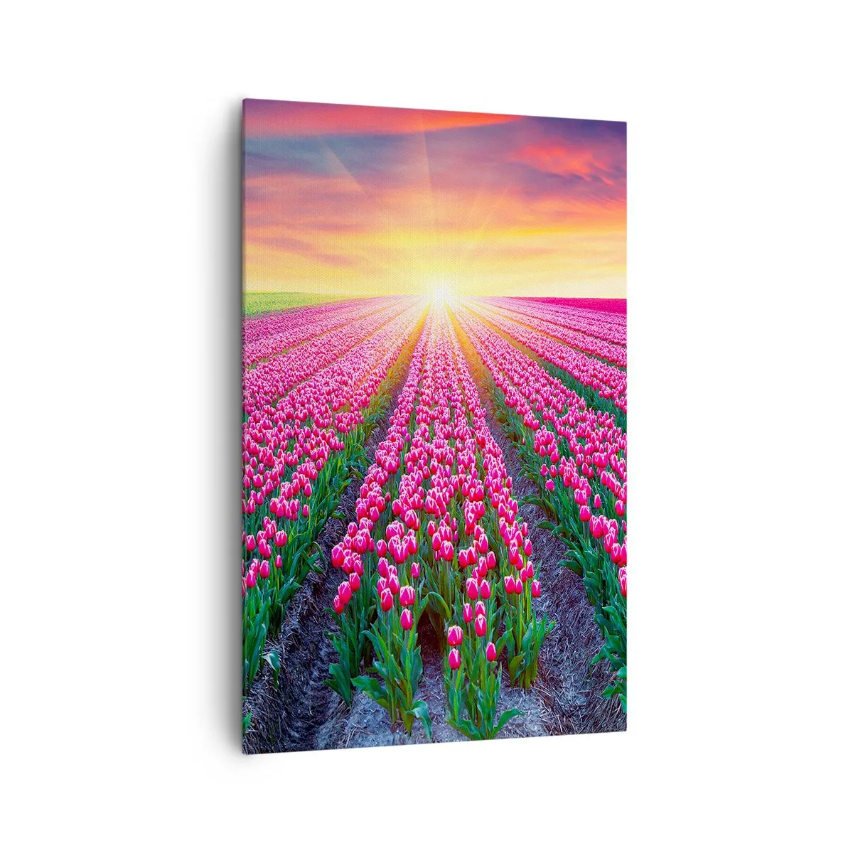 Quadro su tela - Stampe su Tela - Un campo di tulipani al tramonto - 80x120cm - La fattoria della bellezza - Decorazione murale moderna per soggiorno e camera da letto ARTTOR