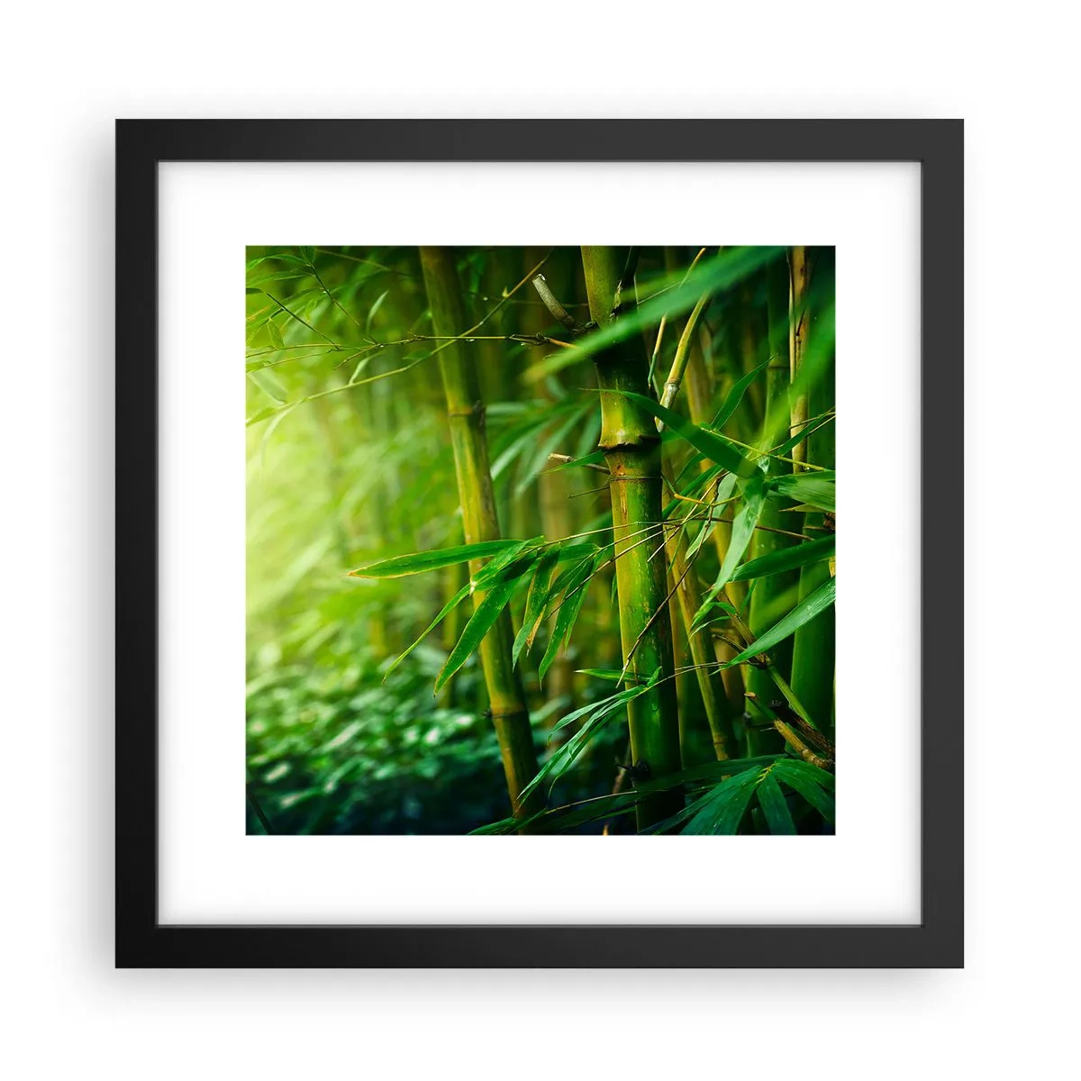 Poster in cornice nera - Conoscere il verde in sé - 30x30 cm