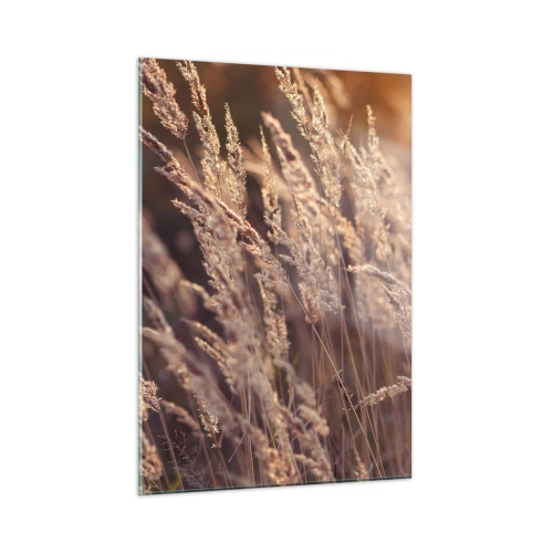 Quadro su vetro - Erbe dorate illuminate dai raggi del sole al tramonto - 50x70cm - Pronti a salutare l'autunno - Decorazione murale moderna per soggiorno e camera da letto ARTTOR