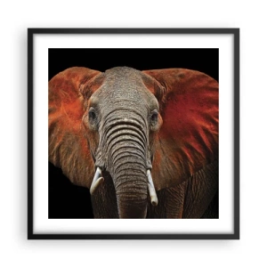 Poster in cornice nera - Sono selvaggio e tu? - 50x50 cm