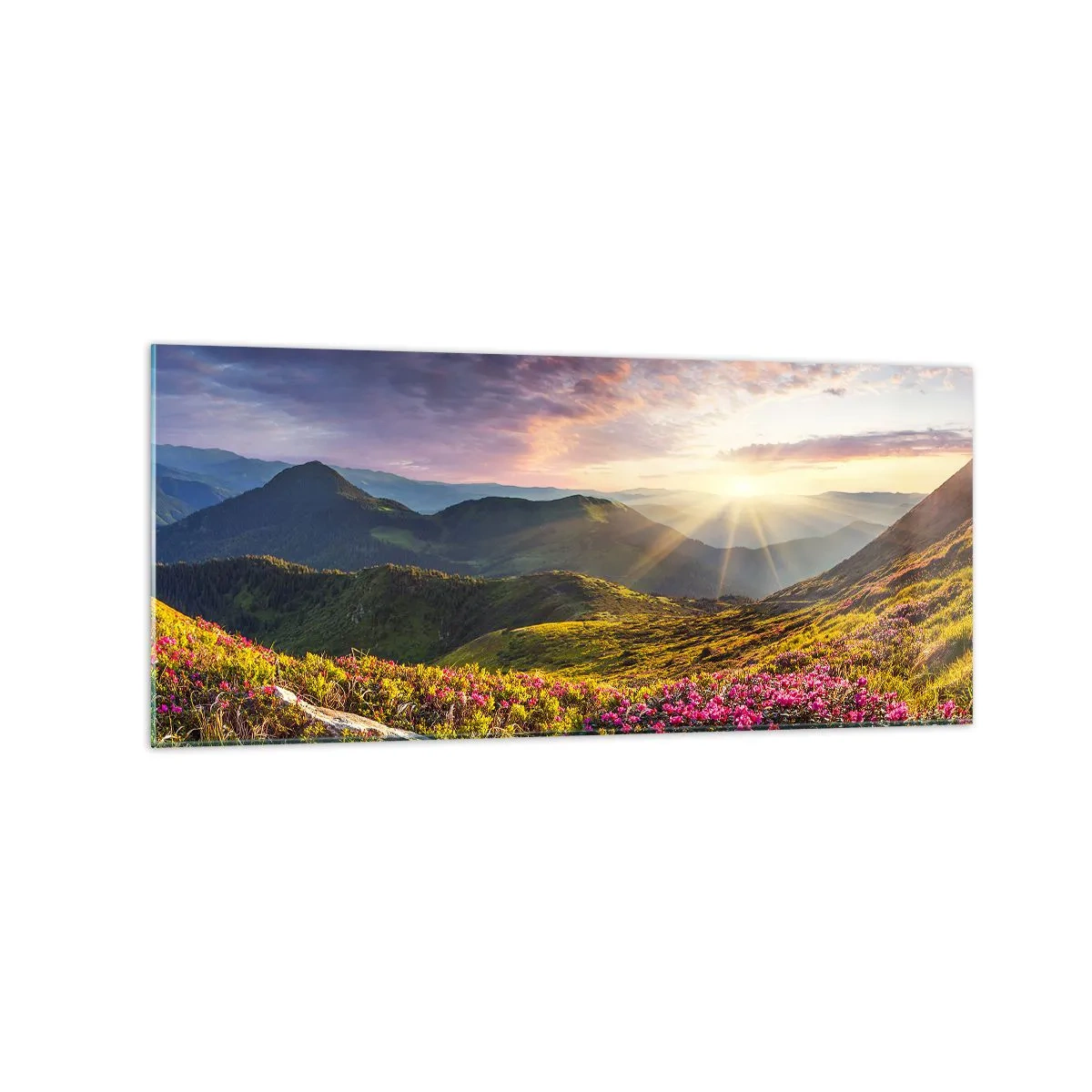 Quadro su vetro - Paesaggio montano con rododendri in fiore - 120x50cm - La freschezza di un mattino sui monti - Decorazione murale moderna per soggiorno e camera da letto ARTTOR
