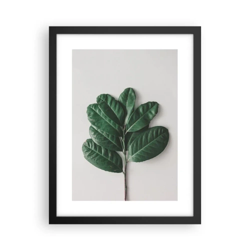 Poster in cornice nera - Il disegno della natura stessa - 30x40 cm