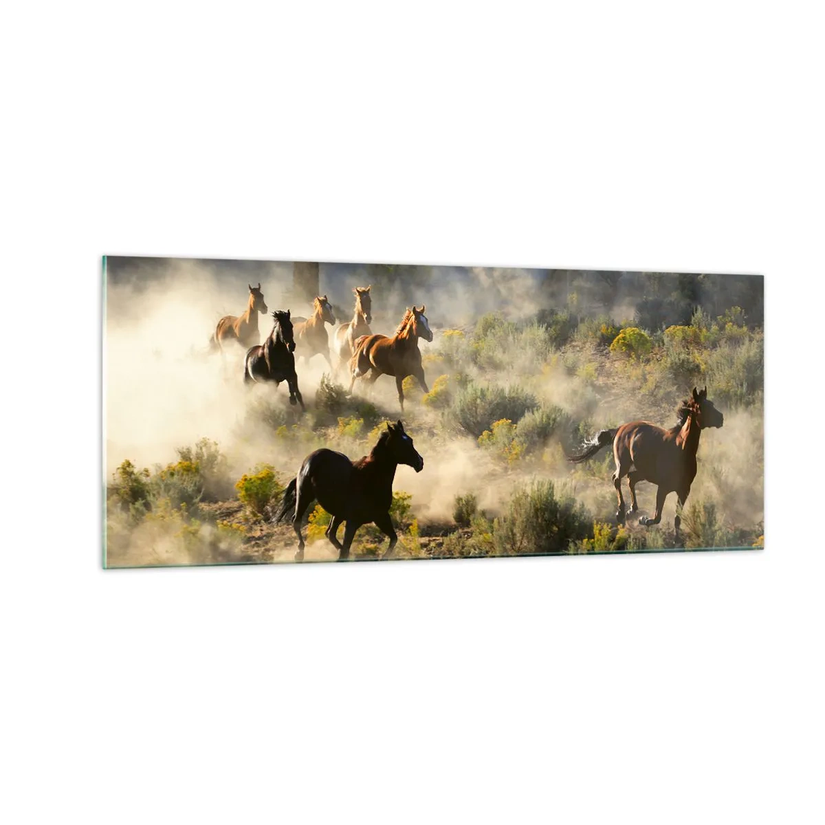 Quadro su vetro - Rivalità: libertà o forza mascolina? - 100x40 cm