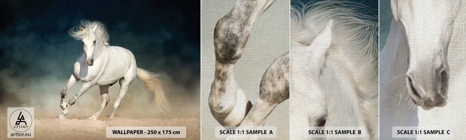 Campione di Fotomurale Premium Canvas - Libertà allo stato puro - Cavallo, Animale, Bianco - 100x30 cm