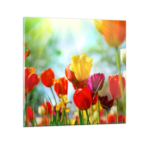 Quadro su vetro - Tutti i colori del sole - 60x60 cm