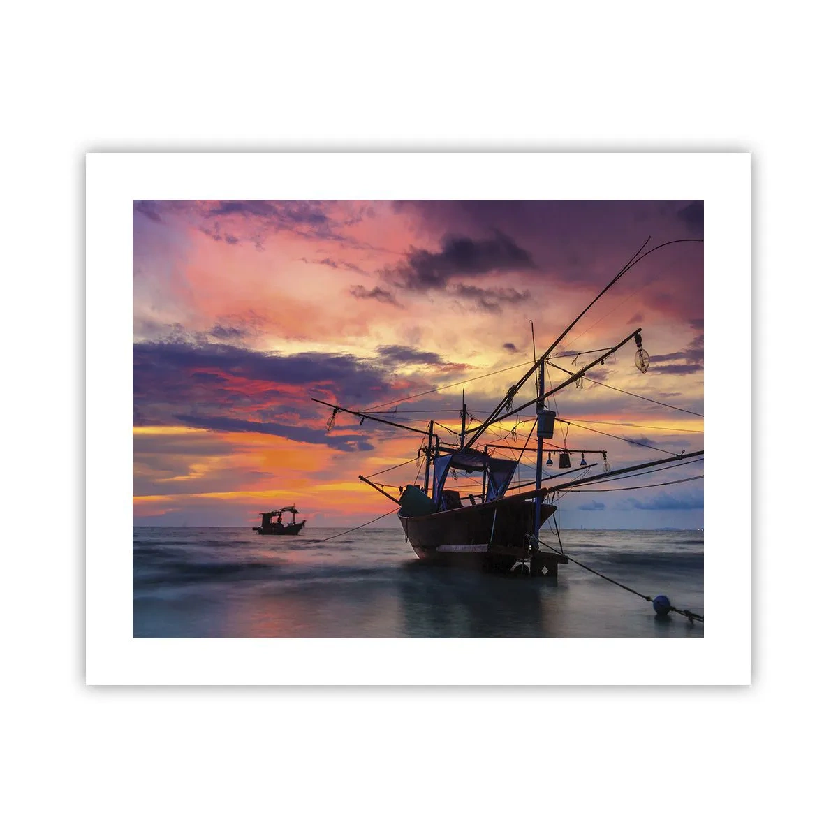 Poster - Sera esotica - 50x40 cm