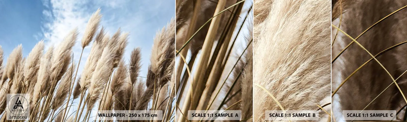 Campione di Fotomurale Adesivo Deluxe Sticker - Le carezze del sole e del vento - Erba della Pampa, Natura, Boho - 100x30 cm