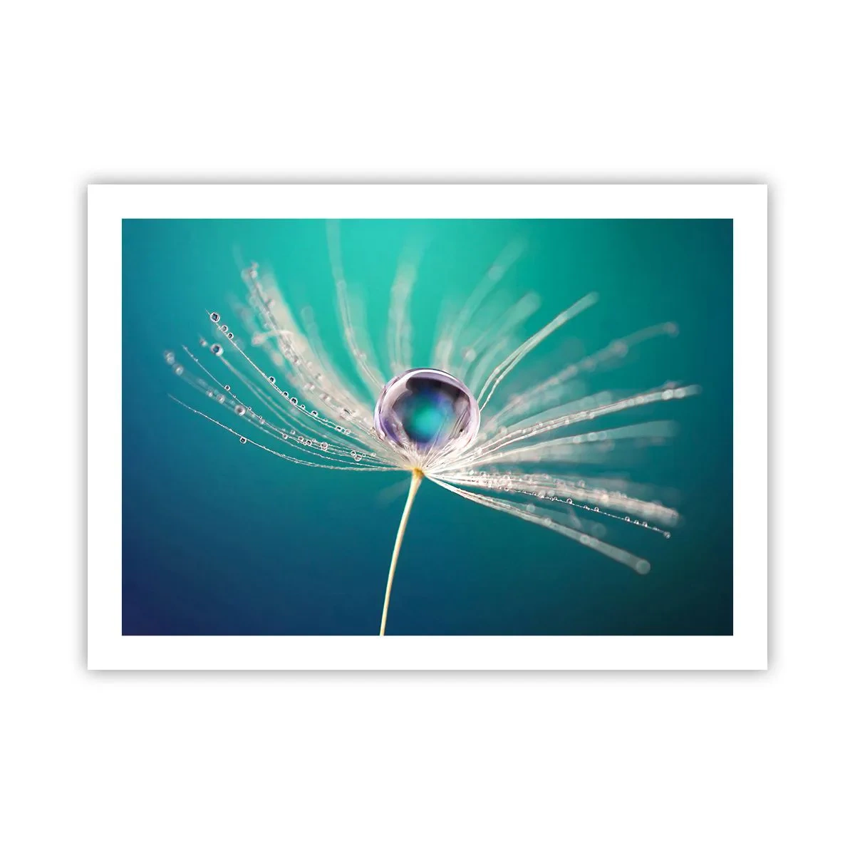 Poster - Attimo mistico - 70x50 cm