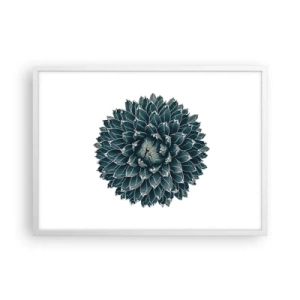 Poster in cornice bianca - La stella del deserto - 70x50 cm