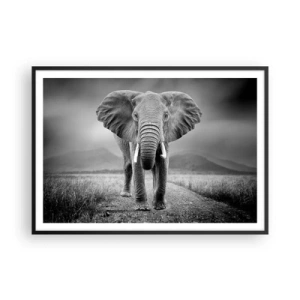 Poster in cornice nera - Un possente elefante nella savana in toni monocromatici - 100x70cm - Il padrone di casa dà il benvenuto - Decorazione murale moderna per soggiorno e camera da letto ARTTOR
