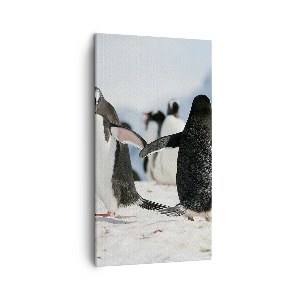 Quadro su tela - Stampe su Tela - Danza sulla neve - 45x80 cm