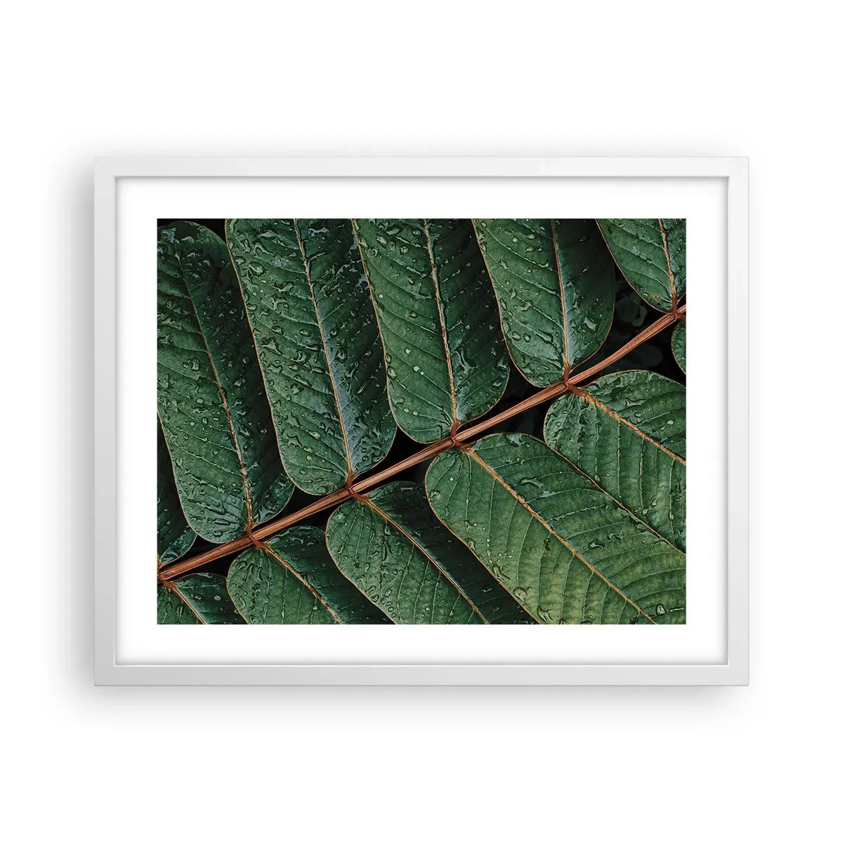 Poster in cornice bianca - Al ritmo verde - 50x40 cm