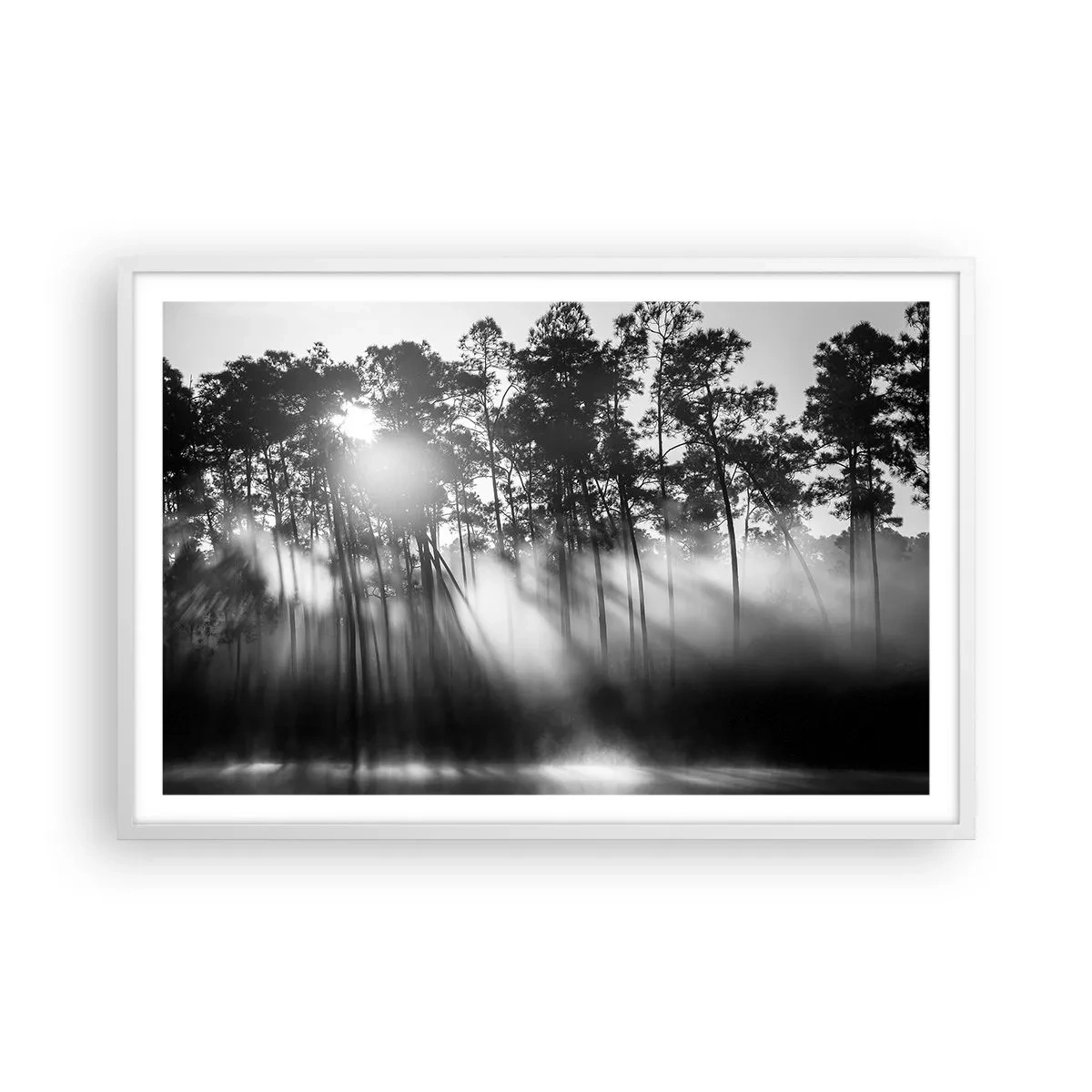 Poster in cornice bianca - Sole irrefrenabile - 91x61 cm