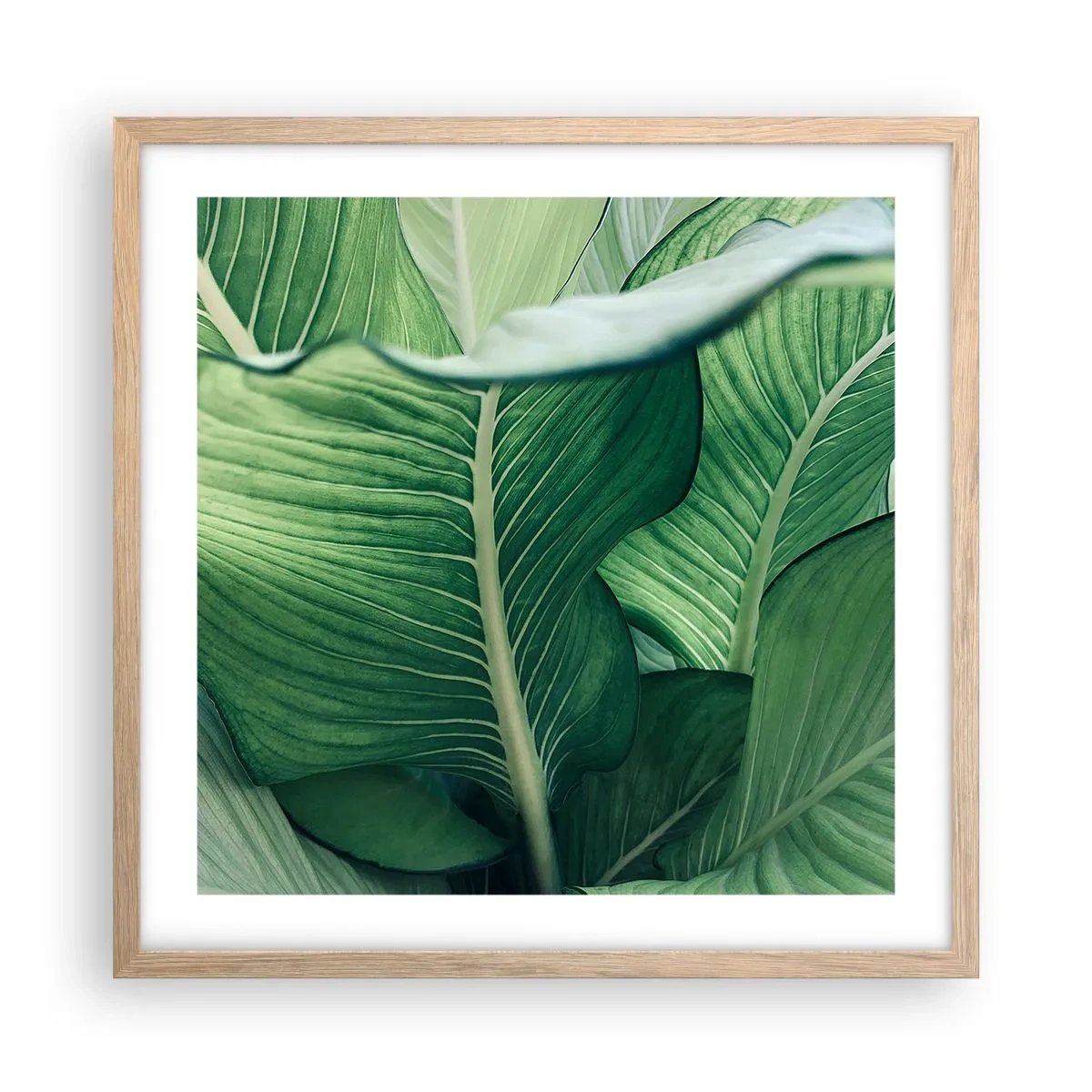Poster in cornice rovere chiaro - Una vita intensamente verde - 50x50 cm