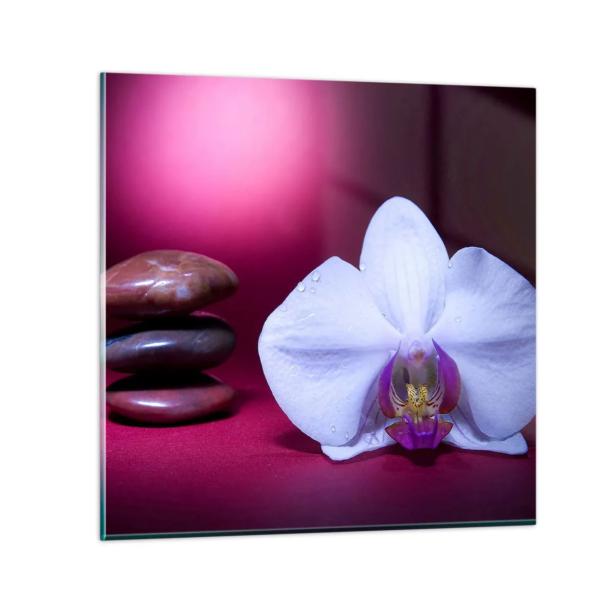 Quadro su vetro - Studio di freschezza in viola - 70x70 cm