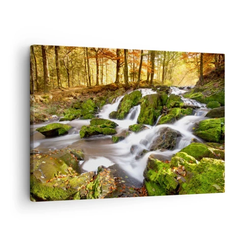 Quadro su tela - Stampe su Tela - Un paesaggio boscoso con una cascata circondata dal muschio - 70x50cm - Rapido nel bosco autunnale - Decorazione murale moderna per soggiorno e camera da letto ARTTOR