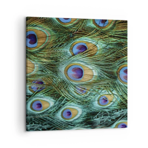 Quadro su tela - Stampe su Tela - Lo sguardo del pavone - 60x60 cm