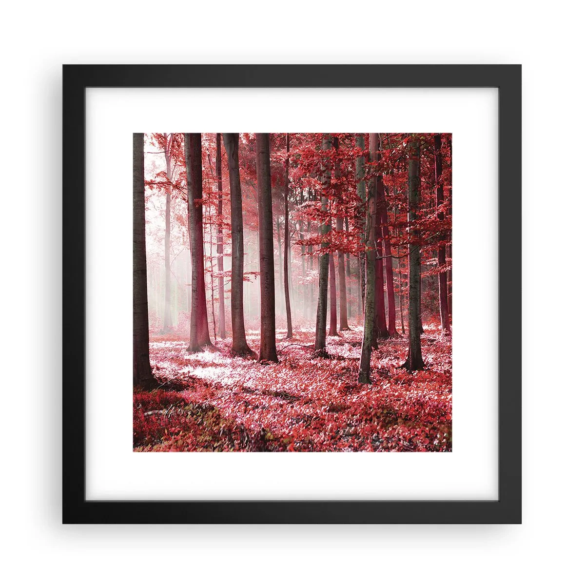 Poster in cornice nera - Anche rosso è bello - 30x30 cm